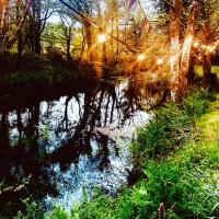 Dowr-Gwel Shepherds Hut - Bed and Breakfast Saint Cleer