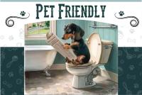 Pool Passes, One Minute To The Hot Springs, Location Perfect, Amenity Rich, Pup Friendly, Discover An Exceptional Wyoming Stay, Thermopolis River Walk Home at Hot Springs State Park, 'Where Families and Fisherman Stay' - B&B Thermopolis