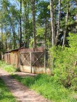 Forest House - B&B