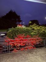 Comfort & Warmth at Stag Lodge Near Queens Park - B&B Invercargill