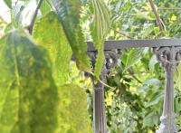 #YellowCenter #20m Jardin Public - Bed and Breakfast