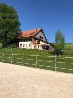 Sérénité et Nature dans une ferme équestre - loft lumineux de 140m2 - B&B Massonnens