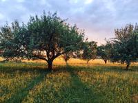 Apartmán U Sadu - B&B Miletín