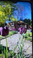 Fachwerkhaus in Deensen - Solling-Vogler-Naturschutzgebiet - B&B Deensen