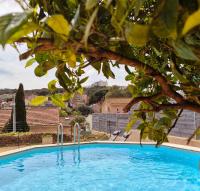 Villa L'olivier avec piscine - B&B