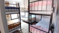 6-Bed Mixed Dormitory Room