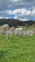 Moonlake Chalet - Bed and Breakfast