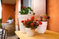 Al Chiaro di Luna - B&B Paternopoli