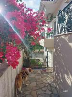 Octopus Garden, Koralli Studio - Chambres d’hôtes Travliáta