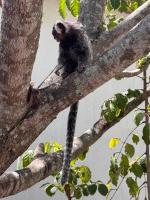 Suíte 6 - Village Capixaba - B&B Gravatá