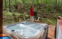 The Mountain Forager Cabin, Bryson City NC - B&B