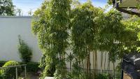 Casa Emilio - Ferienwohnung Haßloch