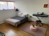 Private Room with Independent Entrance in Basel - B&B Basilea