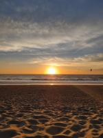 New house 10 min from the beach - B&B Lit-et-Mixe