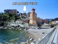 Le Maree Fede - ArgonautiVacanze - B&B
