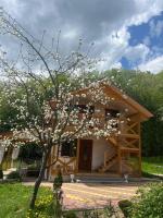 Карпатська Модрина - B&B Kosiv