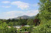 Twenty shilling wood holiday park - B&B