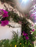 Vivenda Viviani - Ferienwohnung Praia