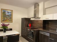 Neueröffnung - Apartment Dietrichsteinplatz - gratis Tiefgaragenplatz - Ferienwohnung
