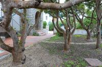 Mistral - B&B Capodisotto