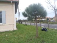 La landaise - B&B Biscarrosse