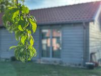 Dla Pary - Sauna, Joga, Masaż, Jezioro - Ferienwohnung Mikolajki