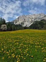 Family Appartment - Dachstein View - B&B Ramsau am Dachstein