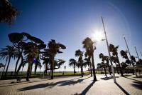 Punta Prima Apartment - B&B La Pineda