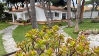 Chalet en La Barrosa - B&B