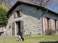 House under the beeches- Casa sotto i Faggi - B&B