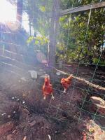 modern appartement with private garden & shared pool - B&B Seignosse