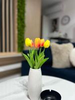 Appartement 1 Chambre