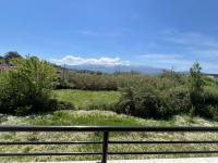 Studio with Mountain View