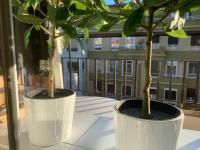 Un hogar en el centro con parking gratuito - B&B Zaragoza