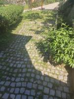 Apartman Poirot Jana - B&B Kuršumlija
