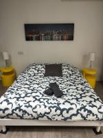 T4 vue sur la Garonne, au pied du tram - B&B