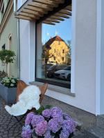 Ferienhaus mit Terrasse - Ferienwohnung Buttelstedt