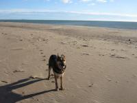 Mas de Perimont 28 - Ferienwohnung Fleury