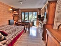 Charmant Studio Montagne Rénové, 4 Pers, Balcon Sud, Proche Centre - FR-1-458-106 - Chambres d’hôtes
