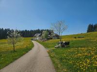 Lorenzenhäusle Titisee-Neustadt - Bed and Breakfast
