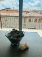 Casa Moniga 2-Residenze Lizzeri - Ferienwohnung Menago