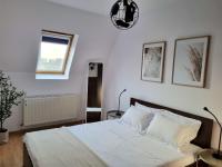 Deluxe One-Bedroom Apartment