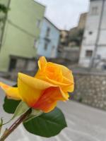 Rifugio nel cuore dell'Abruzzo - B&B Carpineto Sinello