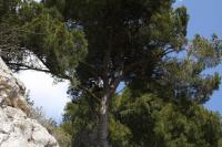 La Maisonnette de la Plage du Rouet - Bed and Breakfast Carry-le-Rouet