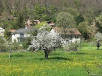 Vreni's Gästezimmer - Chambres d’hôtes Himmelried