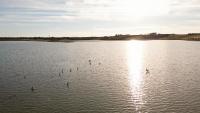 Flamingo View Suites & Villas - B&B
