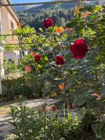 Camera Matrimoniale con Balcone