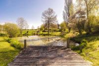 Teichrose - B&B Boren