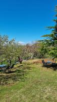 Tsigaridas Mountain Home - Bed and Breakfast Neokhórion