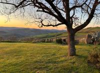 Casale meraviglioso Val d'Orcia con piscina e Sauna - B&B Radicofani
